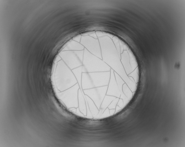 X0000113140849200910161154