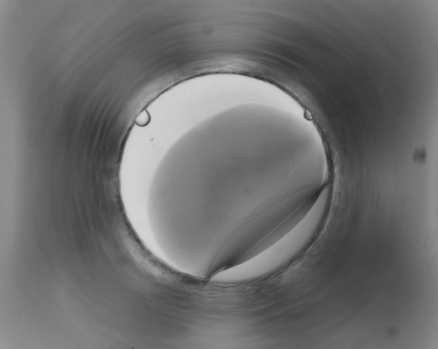 X0000113140850200910161154