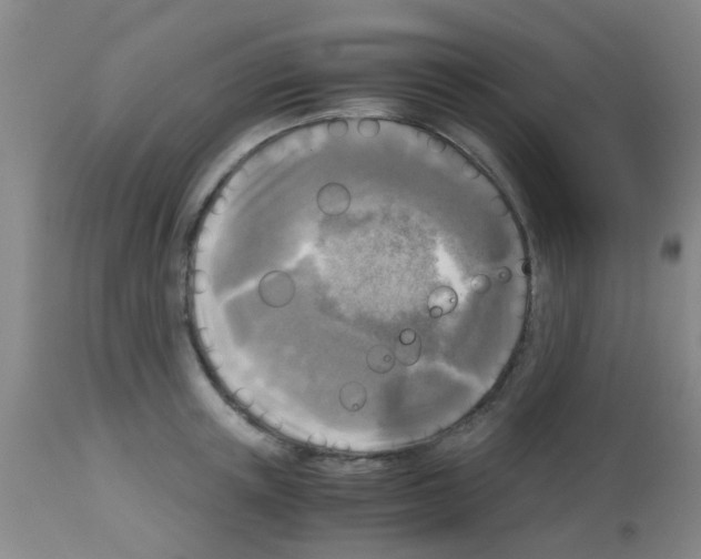 X0000113140851200910161154