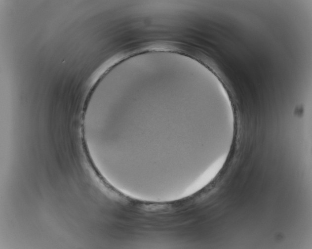 X0000113140853200910161154