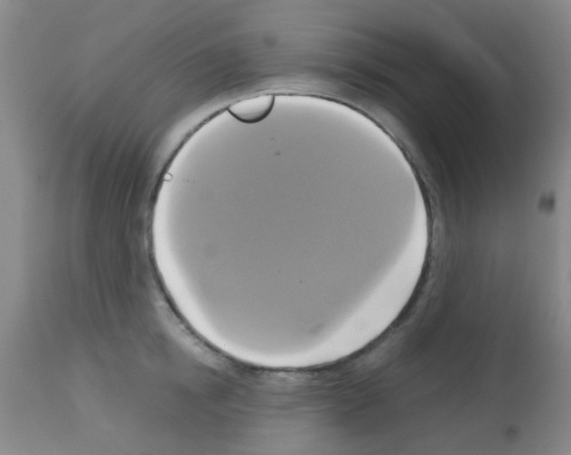 X0000113140854200910161154