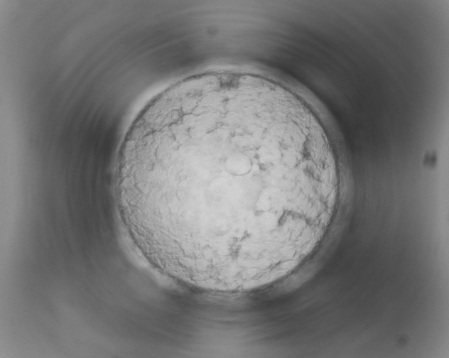 X0000113140856200910161154