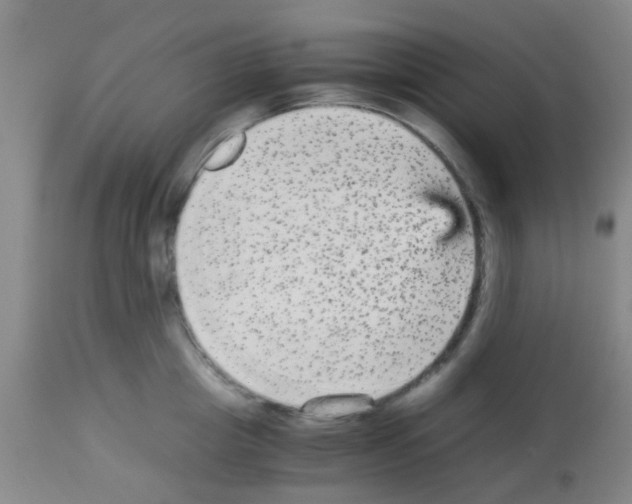 X0000113140857200910161154