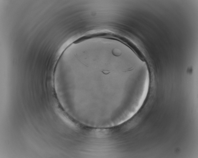 X0000113140858200910161154