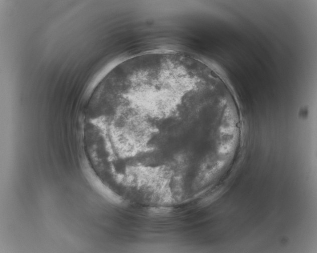 X0000113140859200910161154