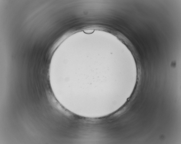 X0000113140860200910161154