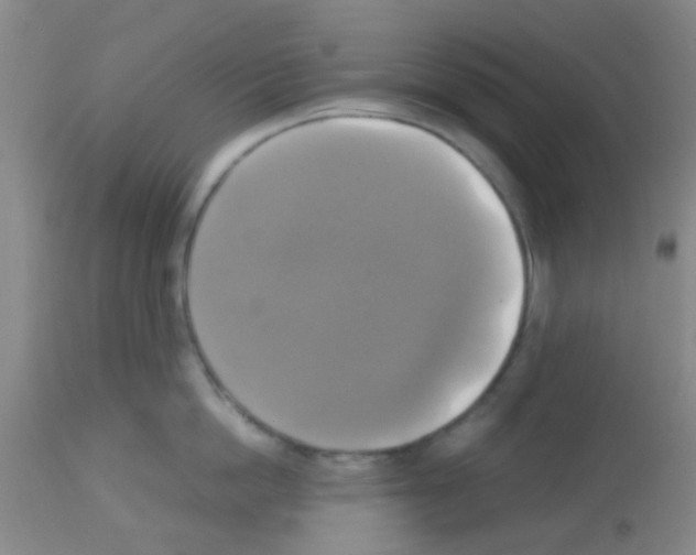 X0000113140862200910161154