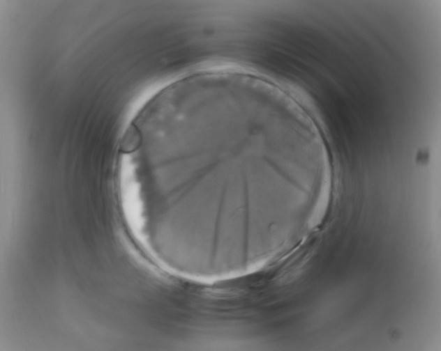 X0000113140863200910161154