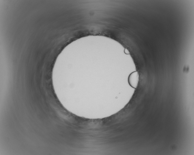 X0000113140865200910161153