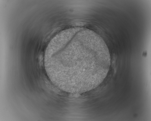 X0000113140866200910161153