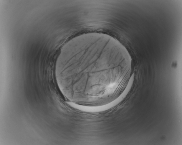 X0000113140868200910161153
