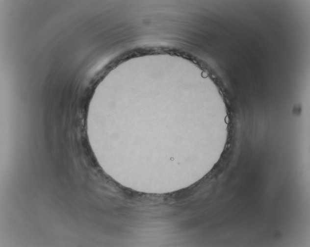 X0000113140871200910161153