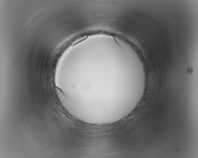 X0000113140872200910161153