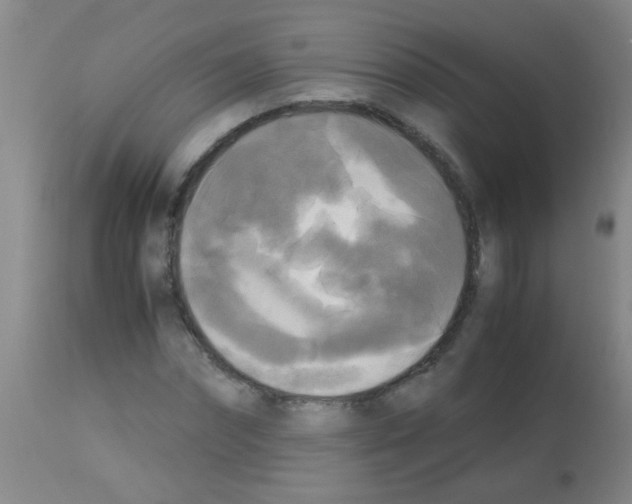 X0000113140874200910161153