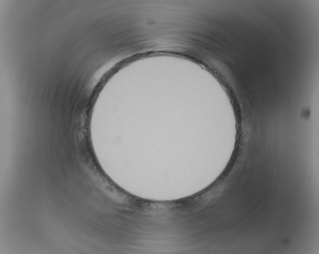 X0000113140875200910161153