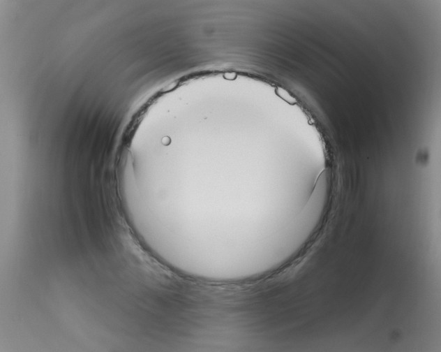 X0000113140876200910161153
