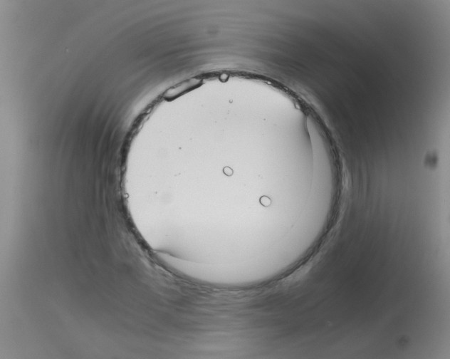 X0000113140877200910161153