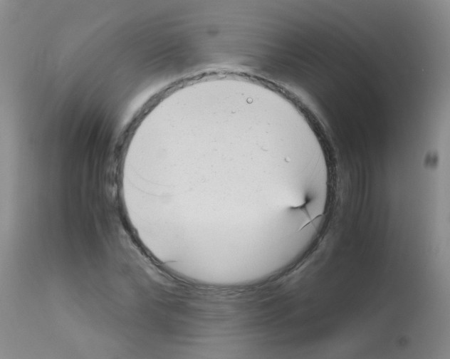 X0000113140878200910161153