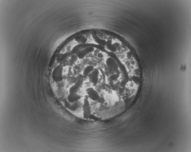 X0000113140879200910161153