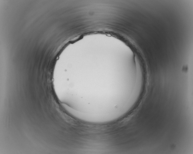 X0000113140881200910161153