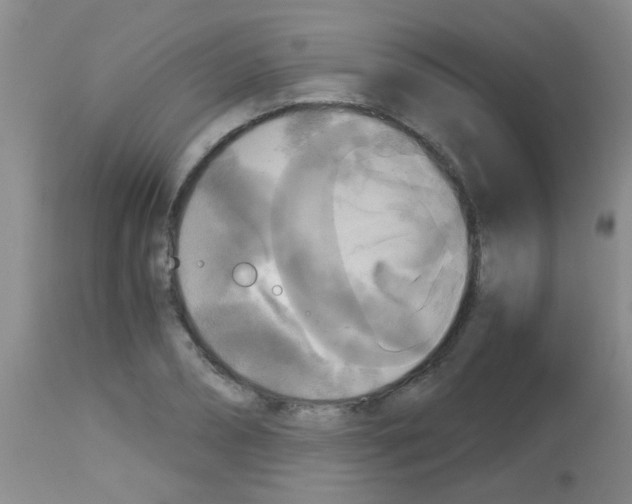 X0000113140882200910161153