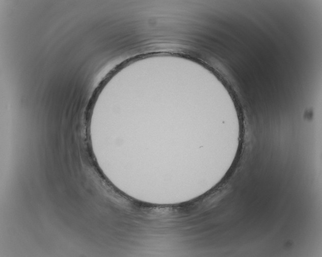 X0000113140883200910161153