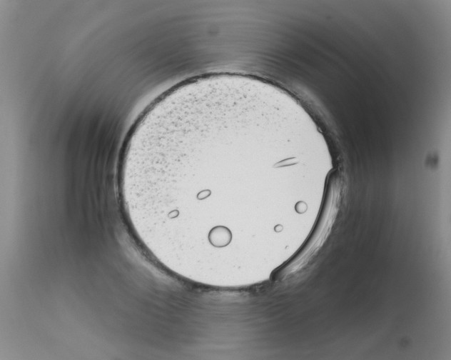 X0000113140884200910161153