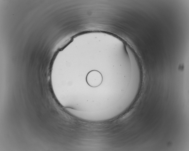 X0000113140885200910161153