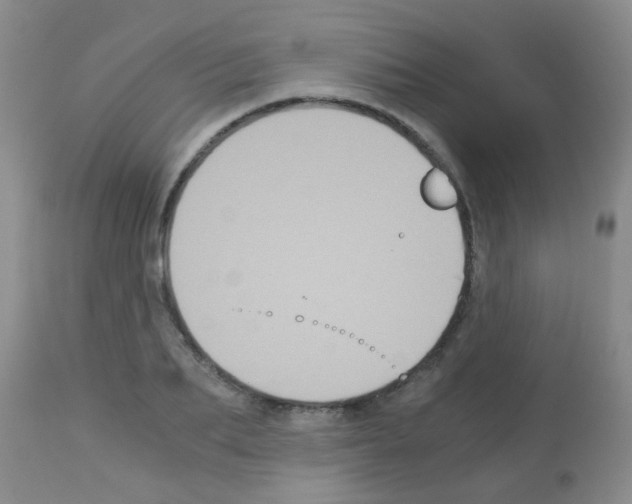 X0000113140887200910161153
