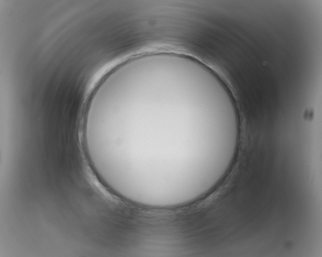 X0000113140888200910161153