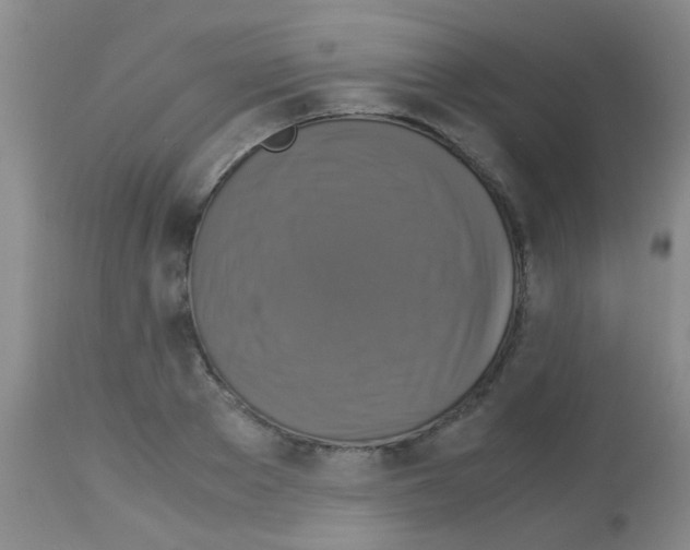 X0000113140889200910161153
