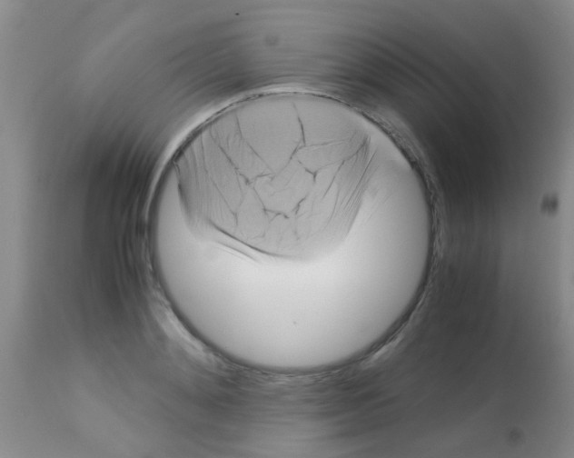 X0000113140892200910161153