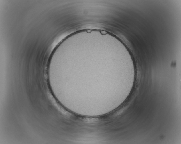 X0000113140893200910161153