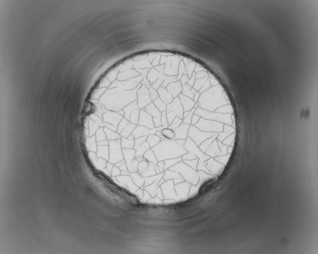 X0000113140895200910161153