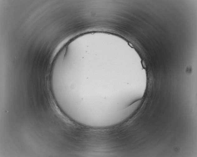 X0000113140896200910161153