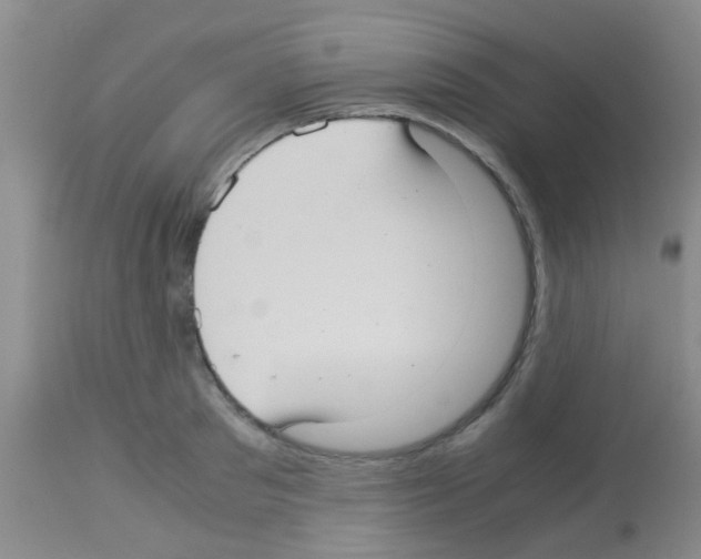 X0000113140897200910161153