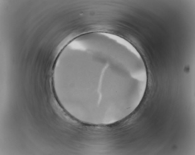 X0000113140899200910161153