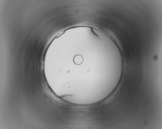 X0000113140900200910161153