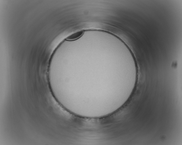 X0000113140901200910161153