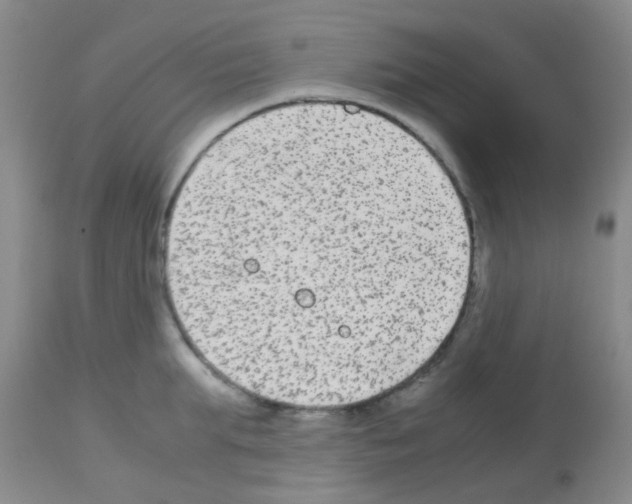 X0000113140903200910161153