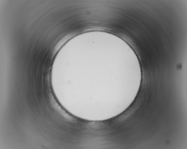 X0000113140906200910161152