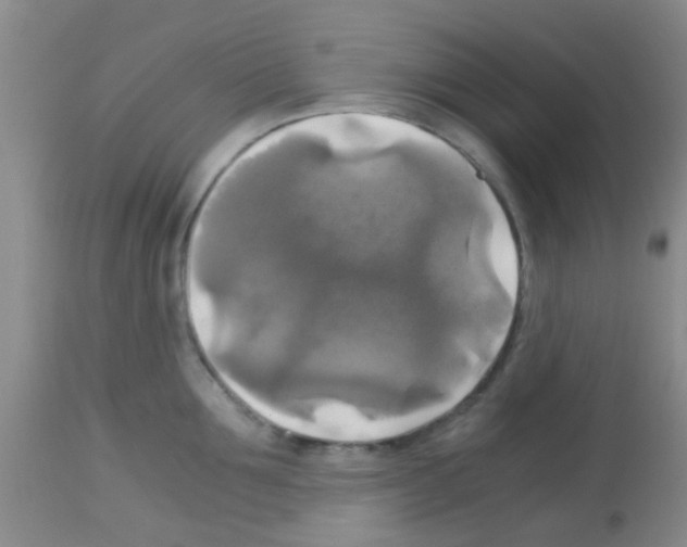 X0000113140907200910161152