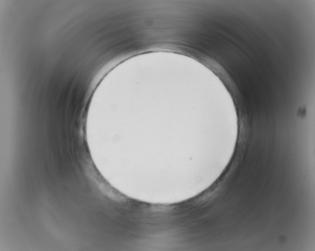 X0000113140908200910161152