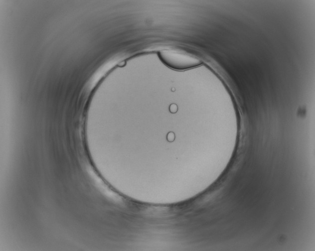 X0000113140909200910161152