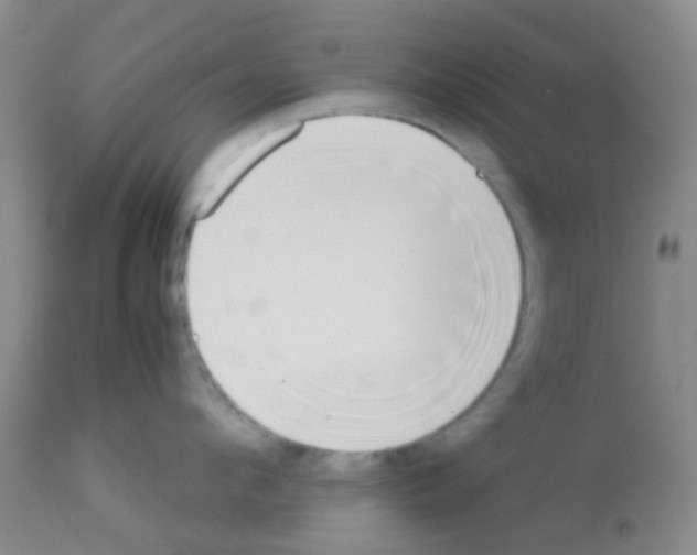 X0000113140912200910161152