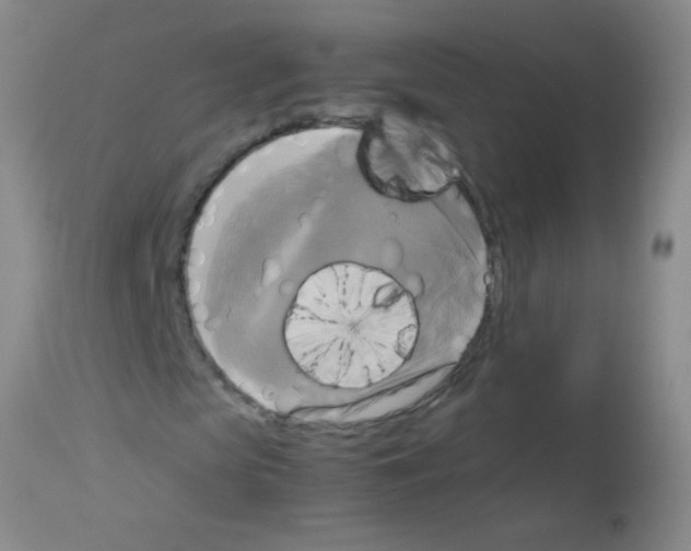 X0000113140913200910161152