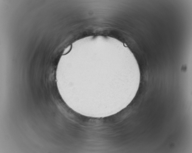 X0000113140914200910161152