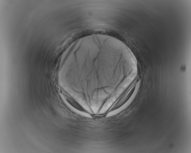 X0000113140916200910161152
