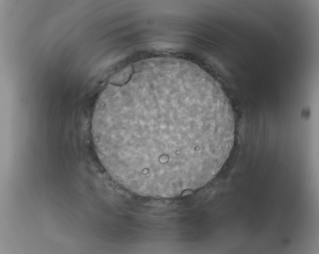 X0000113140917200910161152