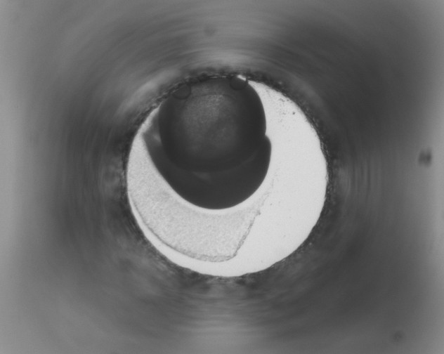X0000113140918200910161152
